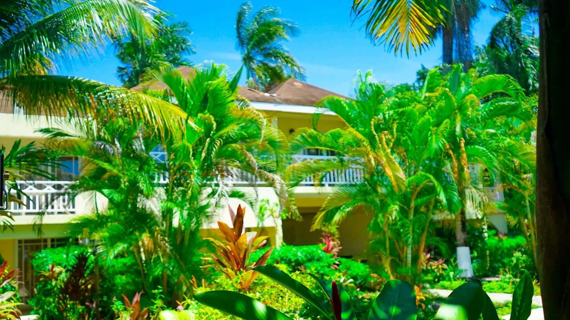 **  נגריל Ayurveda Resort ג'מייקה